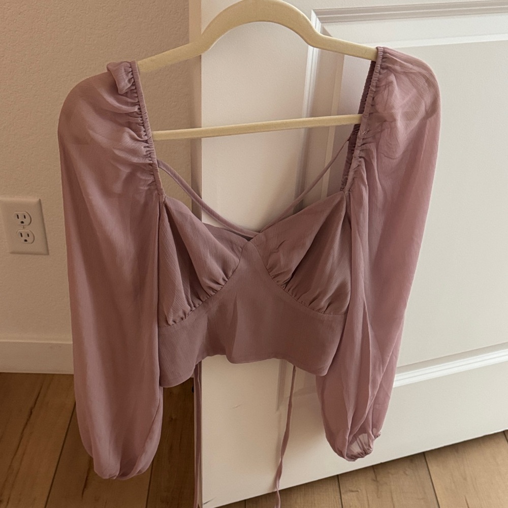 Sheer Mauve Long Sleeve Crop Top